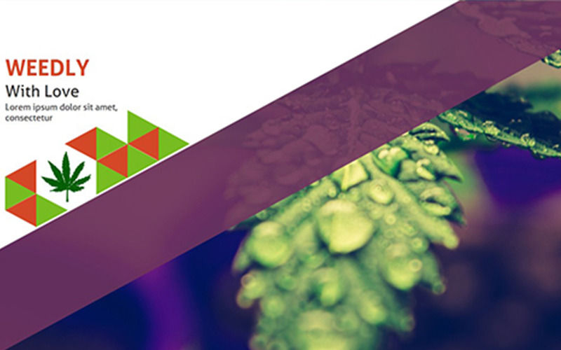 Szablon PowerPoint Weedly Medical Cannabis
