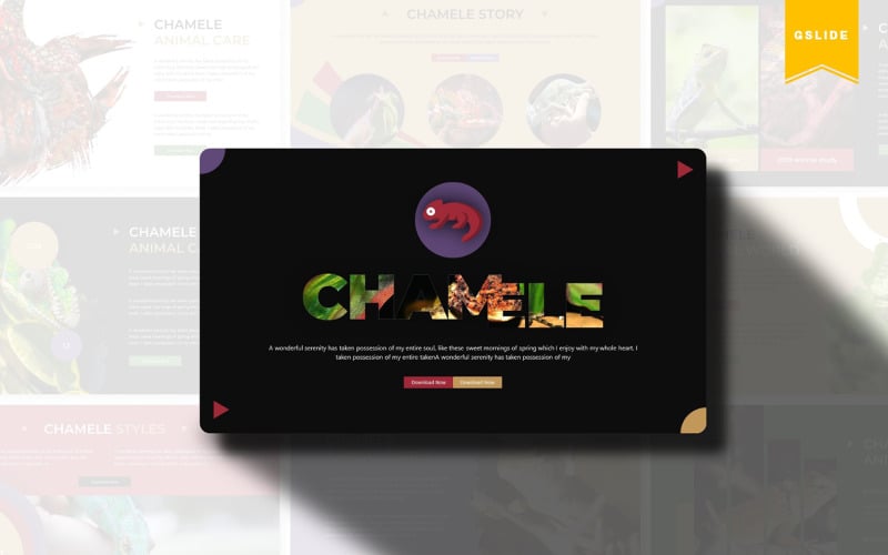 Chamele | Prezentacje Google