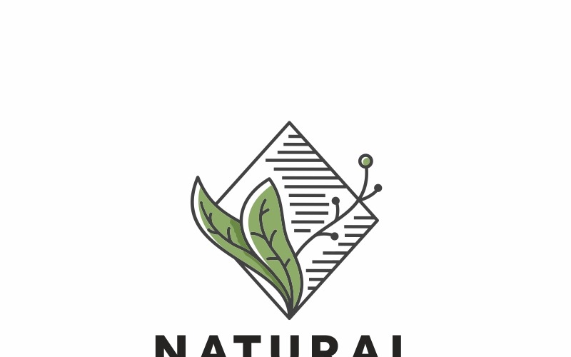 Download Шаблон логотипа "Natural Logo Template" / Natural Logo Template - Шаблон логотипа на тему графика beauty bio botanical branding business crest eco products editable letter elegant environment green health herb insurance leaf leaves life logo