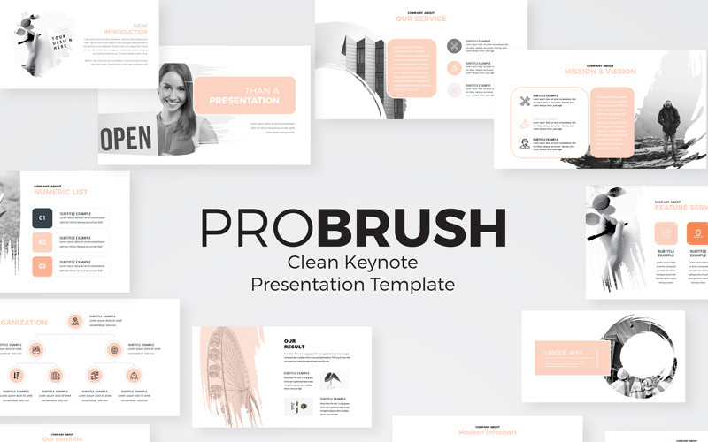 ProBrush-现代-主题演讲模板