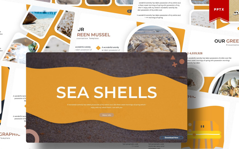 Conchas do Mar | Modelo do PowerPoint
