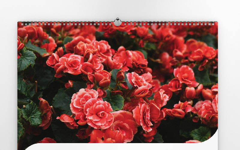 Download Planner "One Page Calendar 2020 Planner" / One Page Calendar 2020 Planner - Planner на тему графика 