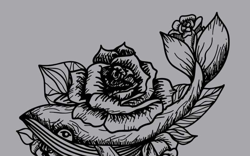 Download Иллюстрация "Monochrome Whale In Roses - Illustration" / Monochrome Whale In Roses - Illustration - Иллюстрация на тему графика cetacea whale animal wild free freedom art tattoo print rose roses nature dream dreams artwork woodcut vector illustration clipart drawing