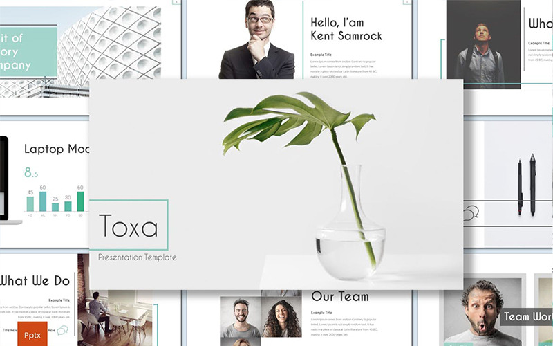 Toxa PowerPoint 模板