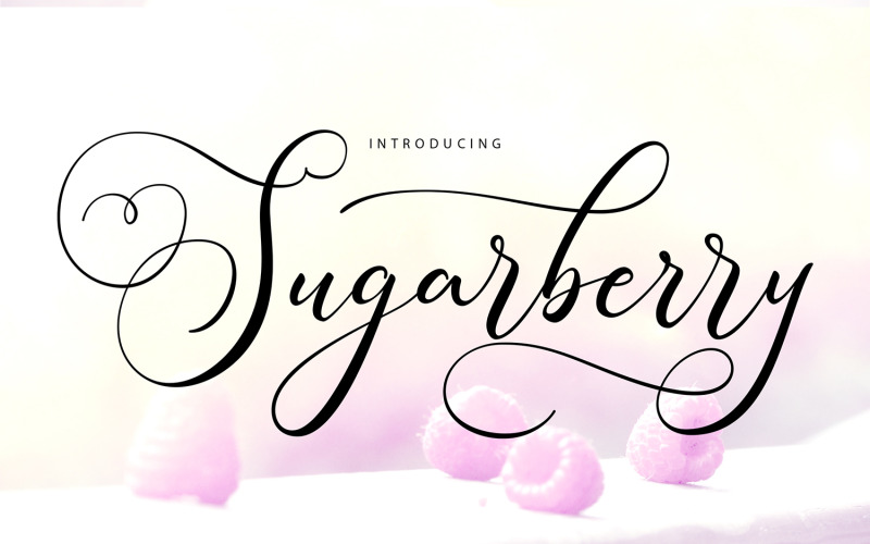 Cukor | Modern kurzív betűtípus