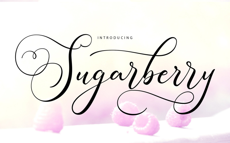 Zuckerbeere | Moderne Kursivschrift