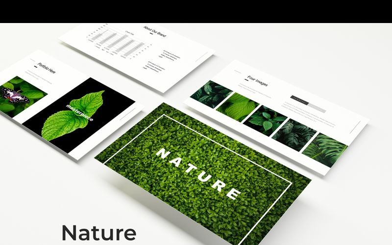 Modello PowerPoint Natura