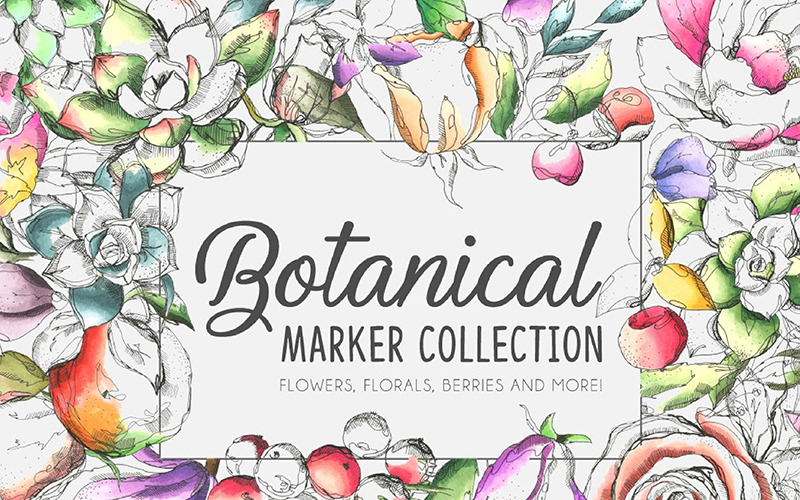 Download Иллюстрация "Botanical Marker Collection - Illustration" / Botanical Marker Collection - Illustration - Иллюстрация на тему графика market flower apple floral botanical botanic garden leaf leaves pattern book cover magazine poster print abstract retro vintage wedding frame