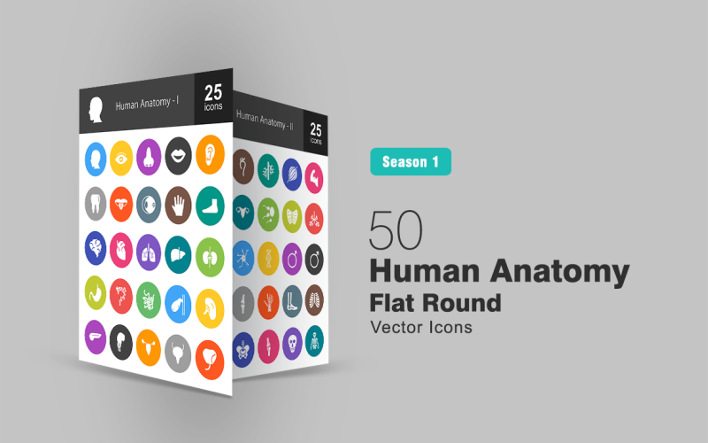 Download Набор иконок "50 Human Anatomy Filled Round Corner Icon Set" / 50 Human Anatomy Filled Round Corner Icon Set - Набор иконок на тему графика anatomy icon face eye nose mouth ear tooth tongue hand foot brain heart lungs liver kidney stomach intestine pancreas blood