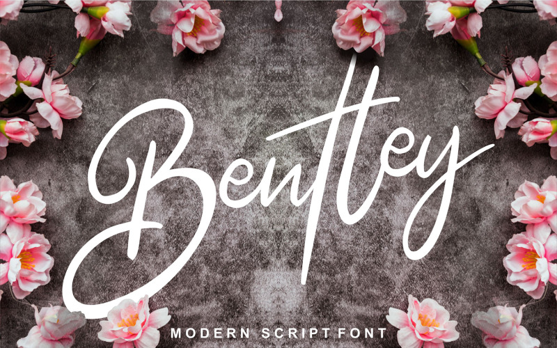 Download Шрифт "Bentley | Modern Cursive Font" / Bentley | Modern Cursive Font - Шрифт на тему графика symbol,sign,typography,alphabet,script,design,text,brush,font,type,abc,calligraphy,modern,drawn,lettering,vector,graphic,style,hand,handwritten