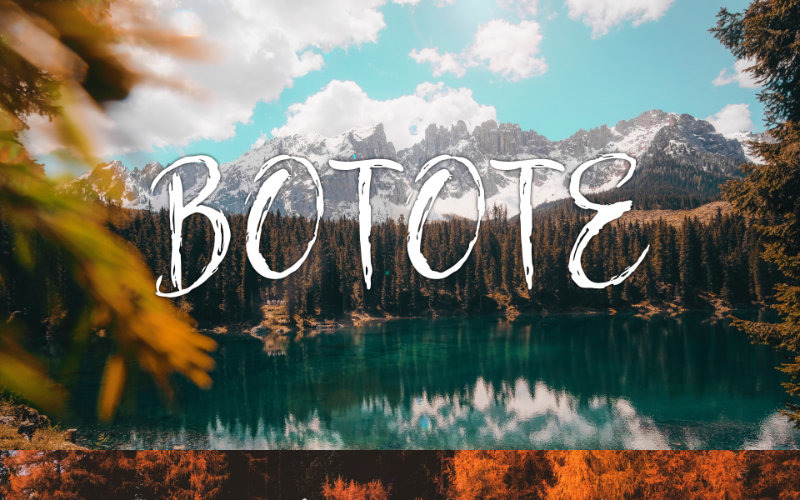Download Шрифт "Botote Font" / Botote Font - Шрифт на тему графика font branding marketing logo business presentation modern stylish