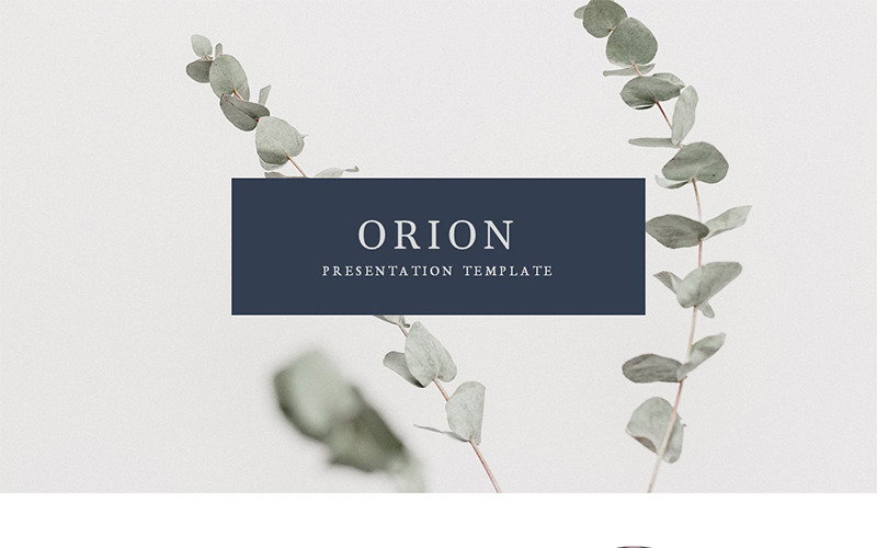 Orion Google Diák