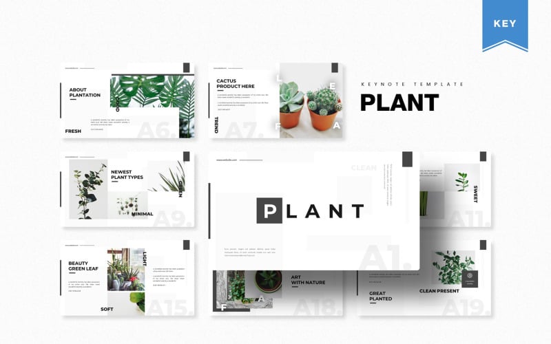 Plant - Keynote şablonu