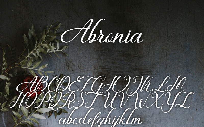 Download Шрифт "ABRONIA Font" / ABRONIA Font - Шрифт на тему графика font typography logo branding marketing