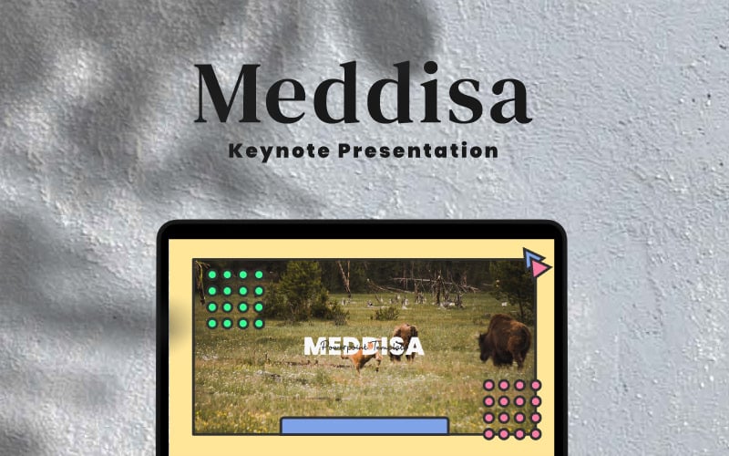 Meddisa - шаблон Keynote