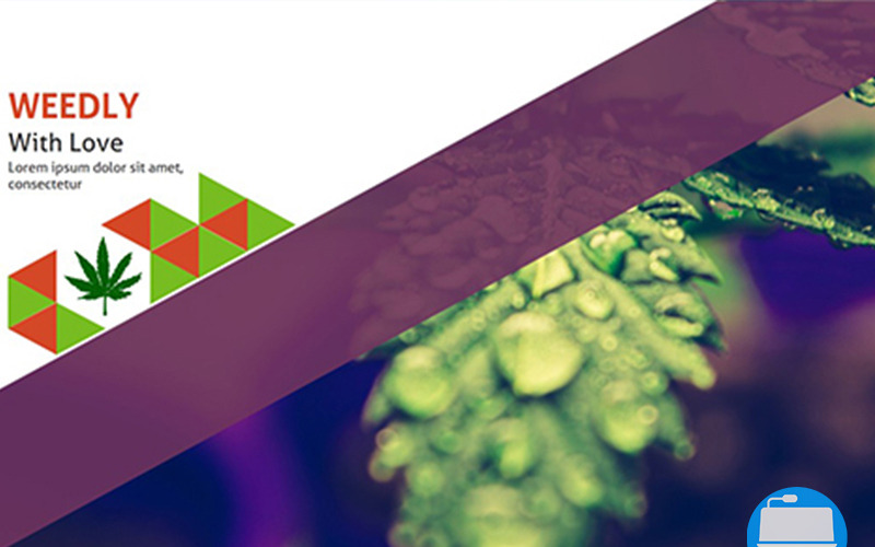 Weedly Medical Cannabis - Keynote-mall