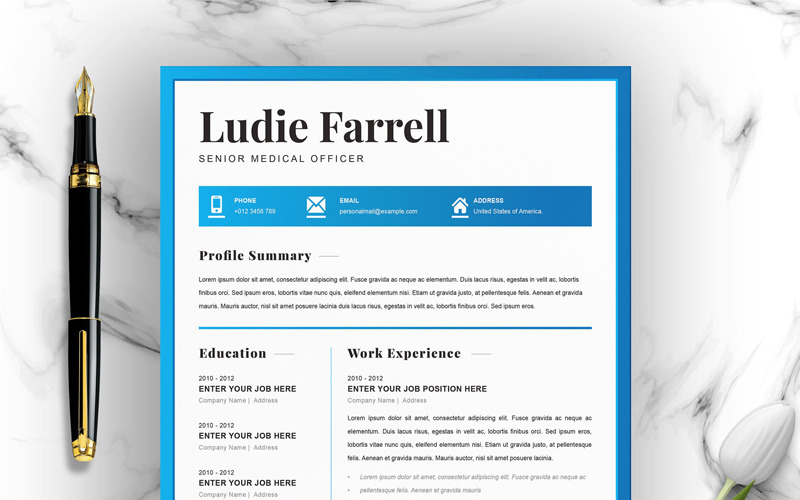 Download Резюме "Ludie Resume Template" / Ludie Resume Template - Резюме на тему графика 2 page resume clean cv cover letter design template illustrator eps mac pages microsoft word modern photoshop psd professional
