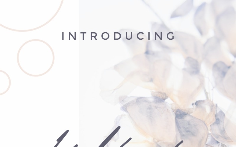 Download Шрифт "WhiteHoney Font" / WhiteHoney Font - Шрифт на тему графика beautiful bold brochure business card calligraphy casual classy clothing duo elegant flyer font handwriting invitation light logo modern photography restaurant