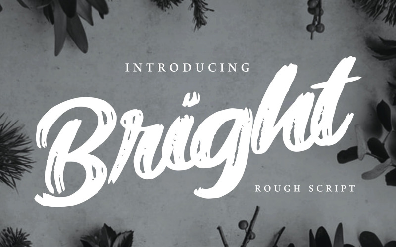 Download Шрифт "Bright | Modern Rough Cursive Font" / Bright | Modern Rough Cursive Font - Шрифт на тему графика script,lettering,typography,type,text,rough,abc,typeset,drawn,modern,font,calligraphy,symbol,alphabet,vector,brush,sketch,letter,sign,graphic