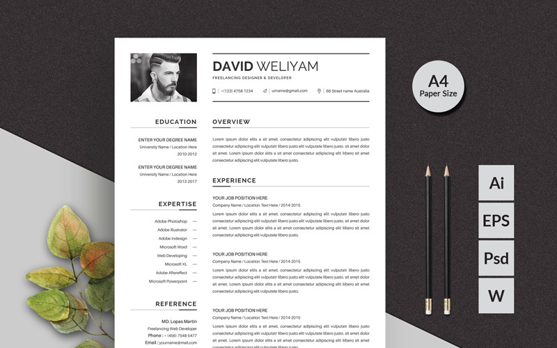 Download Резюме "David Clean Resume Template" / David Clean Resume Template - Резюме на тему графика resume cv clean creative word infographic modern professional student mac pages manager template bankers doctors job seekers