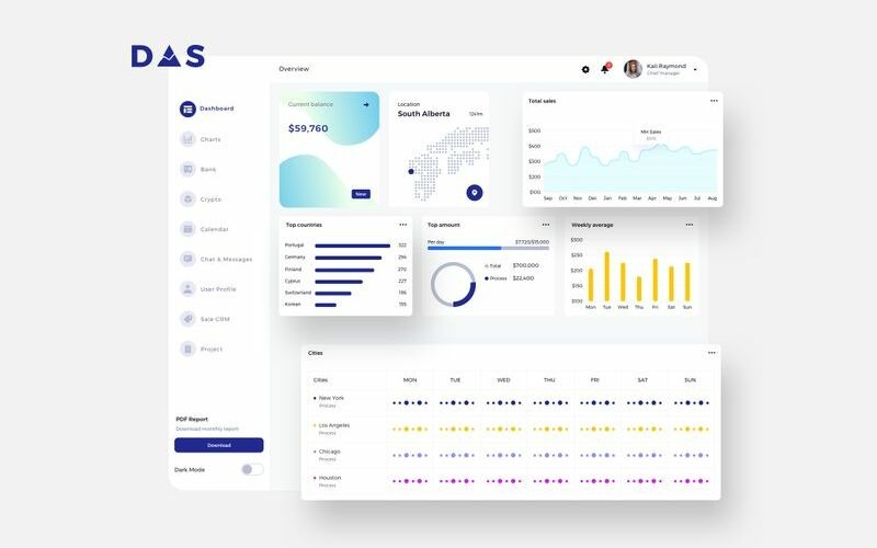 DAS Фінанси інформаційної панелі Ui Light Sketch шаблон