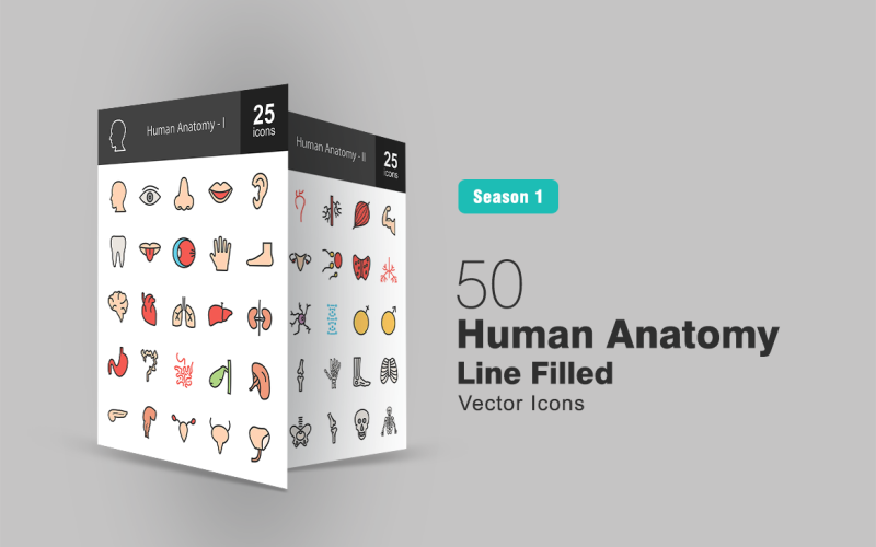 50 conjunto de iconos de línea llena de anatomía humana