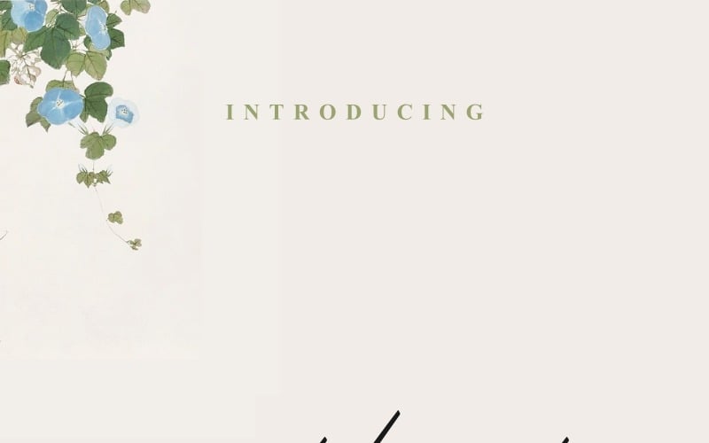 Jillfester Font