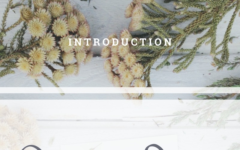 Download Шрифт "GingerSpice Font" / GingerSpice Font - Шрифт на тему графика beautiful bold brochure calligraphy casual classy cursive elegant flyer font handwriting invitation italic logo modern pen pencil photography restaurant salon