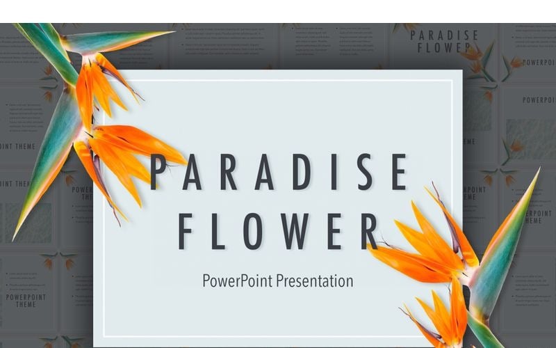 Plantilla de PowerPoint - flor del paraíso