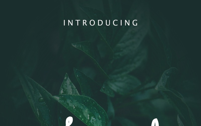 Aghmeeta-lettertype