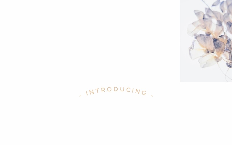 Download Шрифт "Sunny November Font" / Sunny November Font - Шрифт на тему графика brand brochure clothing decorative display fashion flyer font handmade handwritten invitation line monoline musician pen personal photography promotion sale script