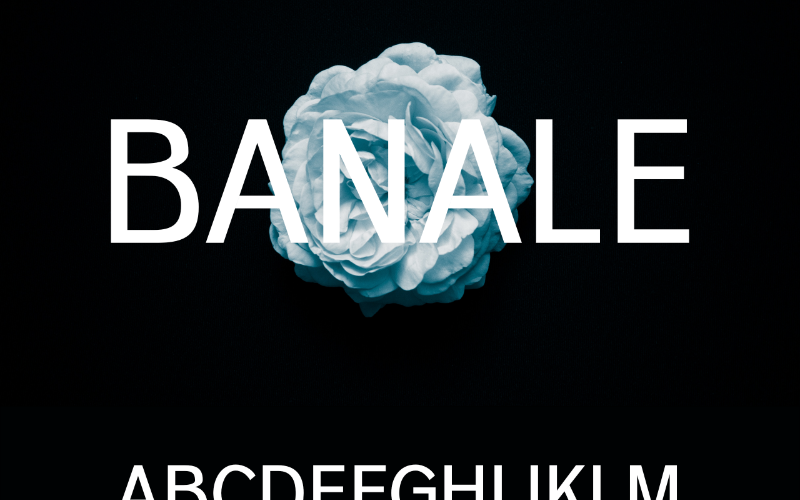Download Шрифт "Banale Font" / Banale Font - Шрифт на тему графика font logo presentation brand marketing graphis design