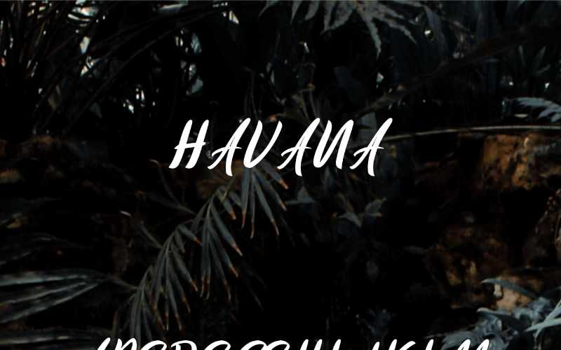 Download Шрифт "Havana Font" / Havana Font - Шрифт на тему графика font logo business modern trendy presentation