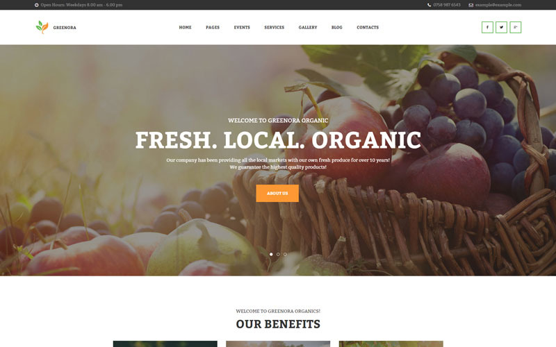 Greenora - тема WordPress для органического сельского хозяйства