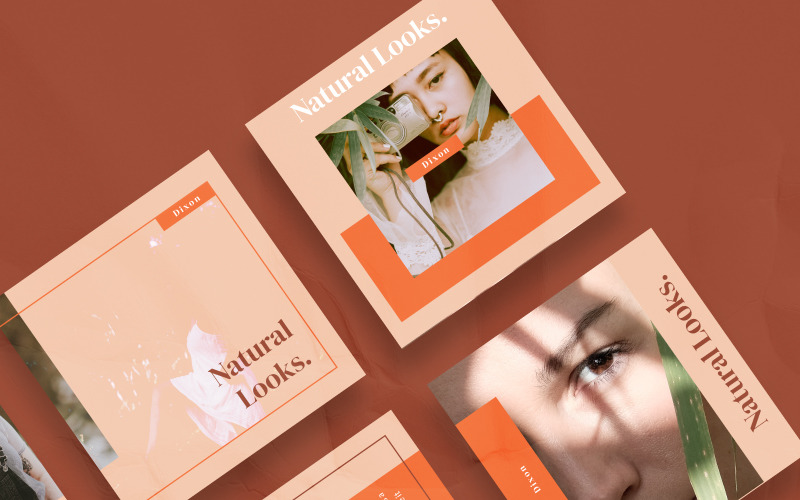 Download Шаблон для соцсетей "Dixon Social Media Template" / Dixon Social Media Template - Шаблон для соцсетей на тему графика banner pack banners business buy clothes clothing cloths coupon deal discount fashion flat design gif instagram marketing puzzle nature natural