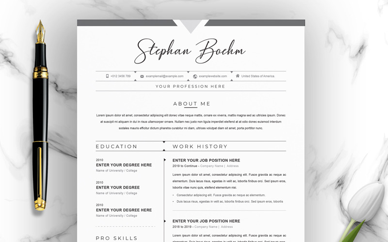 Modèle de CV Cv Stephan Bachm