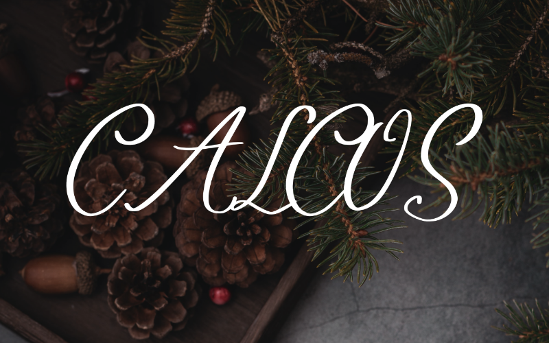 Download Шрифт "Calcos Font" / Calcos Font - Шрифт на тему графика font logo presentation business