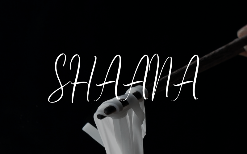 Download Шрифт "Shaana Font" / Shaana Font - Шрифт на тему графика font logo presentation business