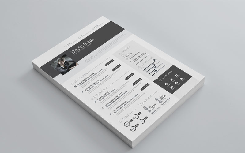 Download Фирменный стиль "Black Color  Resume - Corporate Identity Template" / Black Color  Resume - Corporate Identity Template - Фирменный стиль на тему графика creative resume clean booklet curriculum vitae bio-data green gray black multipurpose hi-res hi quality professional business brand corporate cv complete