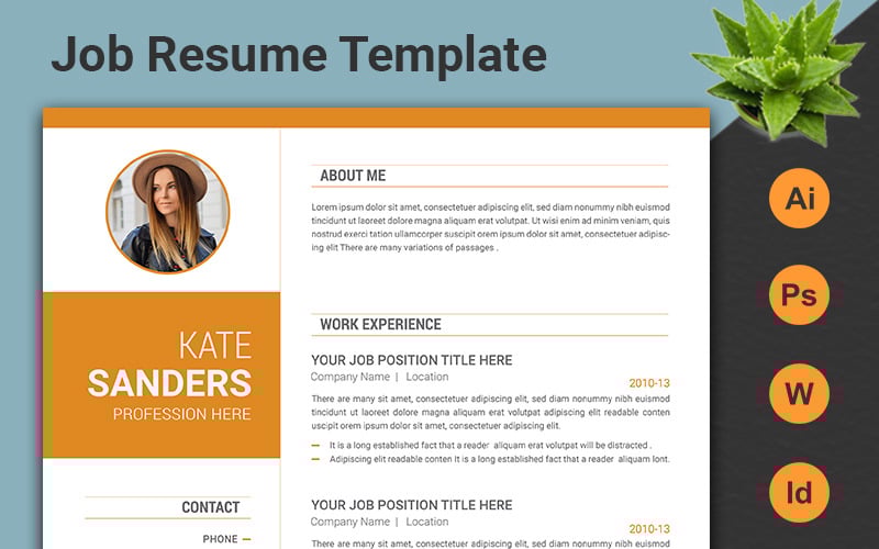 Professional CV Resume Template