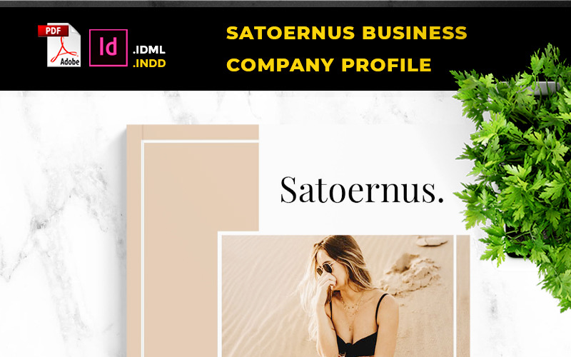 Satoernus - Профіль ділової компанії - Шаблон фірмового стилю
