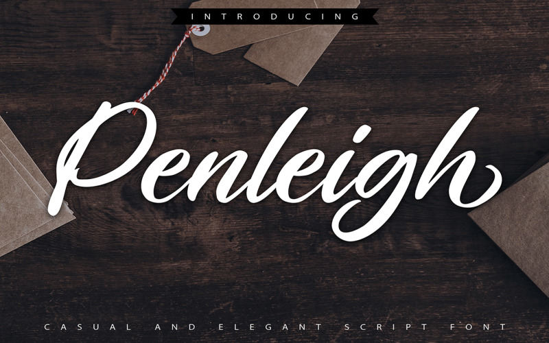 Пенли | Повседневный и элегантный курсивный шрифт