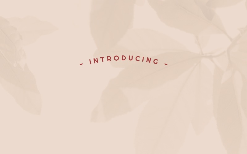 Download Шрифт "Xenia Urshina Font" / Xenia Urshina Font - Шрифт на тему графика beautiful bold brochure brush calligraphy card classic clean elegant fashion feminine flyer font glamour handwriting invitation light logo modern photography