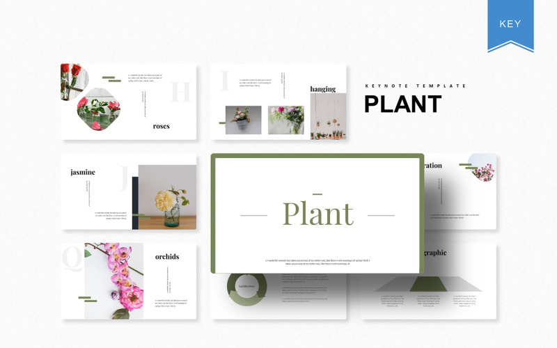 Plant - Keynote-Vorlage