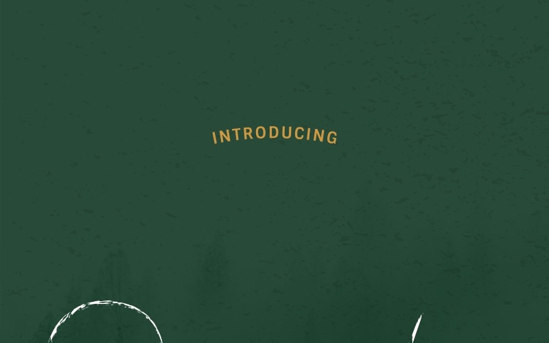 Download Шрифт "Raqila Font" / Raqila Font - Шрифт на тему графика beautiful bold brochure brush calligraphy card classic elegant fashion flyer font handwriting invitation light logo modern photography restaurant rough salon