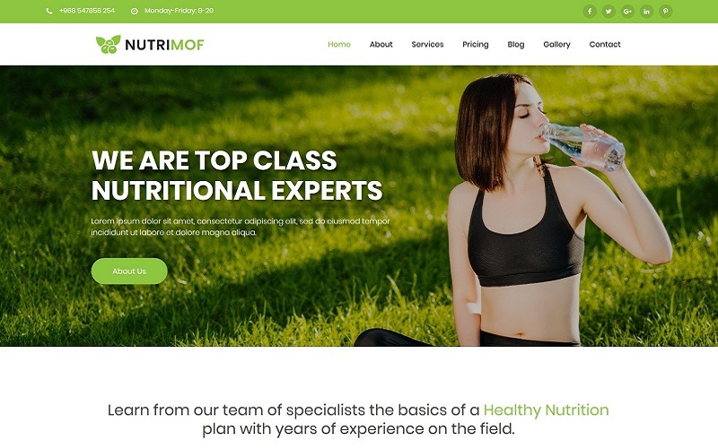 Nutrimof - Tema nutricional e de saúde para WordPress