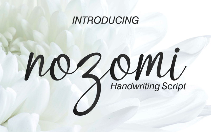 Download Шрифт "Nozomi - Font" / Nozomi - Font - Шрифт на тему графика typography,font,branding,handmade,handwriting,script,modern,photography,business,design,graphic,wedding,invitation,style,cricut,elegant,hands,stationery,illustration,sketch