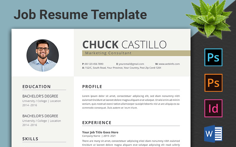 Download Резюме "Professional CV Resume Template" / Professional CV Resume Template - Резюме на тему графика cv rsume template fully layered a4 paper size modern minimal letter profational creative eaditable word indesign cvdesign docx jobecv elegent