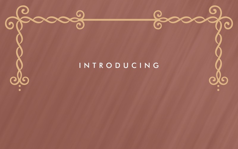 Veronica Elena Schriftart