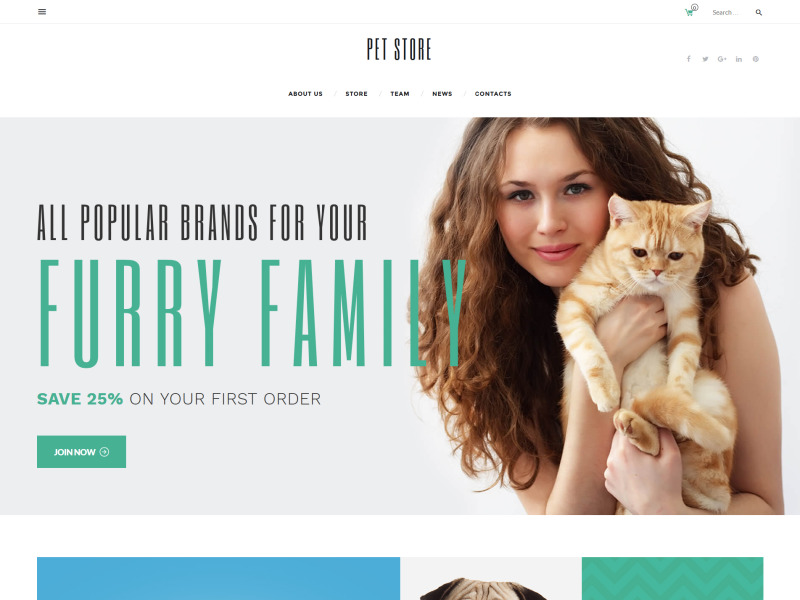 responsywny-motyw-woocommerce-petstore-r